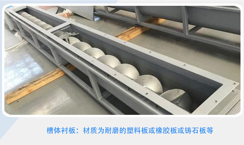 无轴螺旋体
